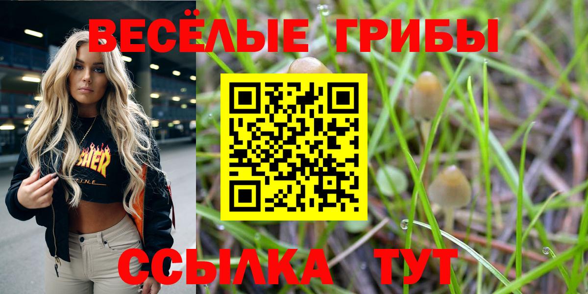 Альметьевск  Псилоцибиновые грибы Psilocybine cubensis  Вход с VPN 
